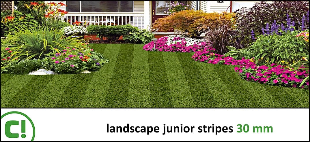 07 Landscape Junior Stripes Titel 30mm 1074x493px 150dpi