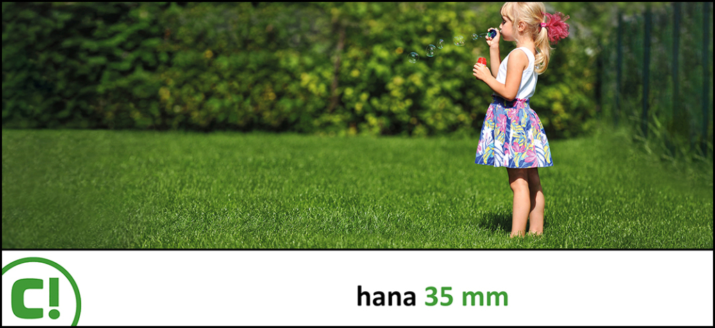 20 Hana 35mm 1074 X 493px 150dpi