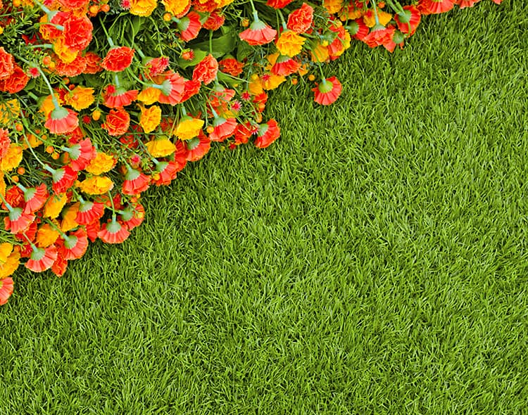 Colorful,flower,on,artificial,grass,field,background