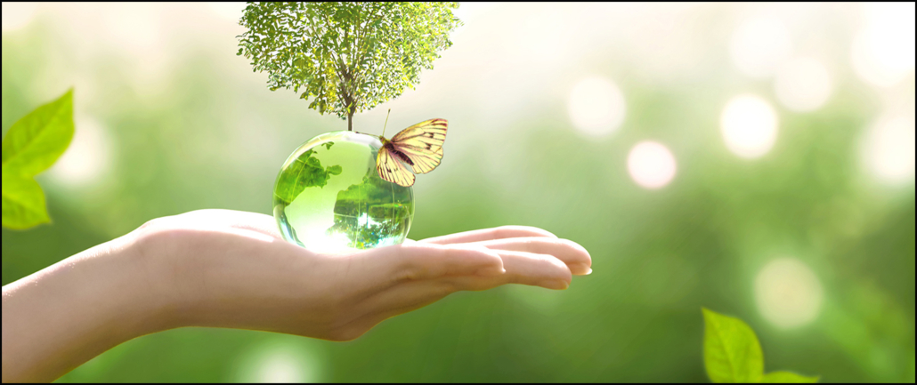 Earth,crystal,glass,globe,ball,and,growing,tree,in,human