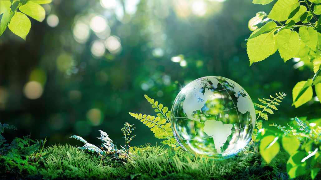 Environment.,glass,globe,on,grass,moss,in,forest, ,green
